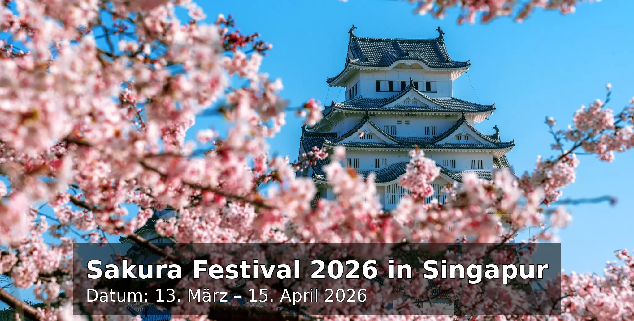 Sakura Festival 2026 in Singapur – Japanische Blütenpracht & Kultur aus Ishikawa erleben